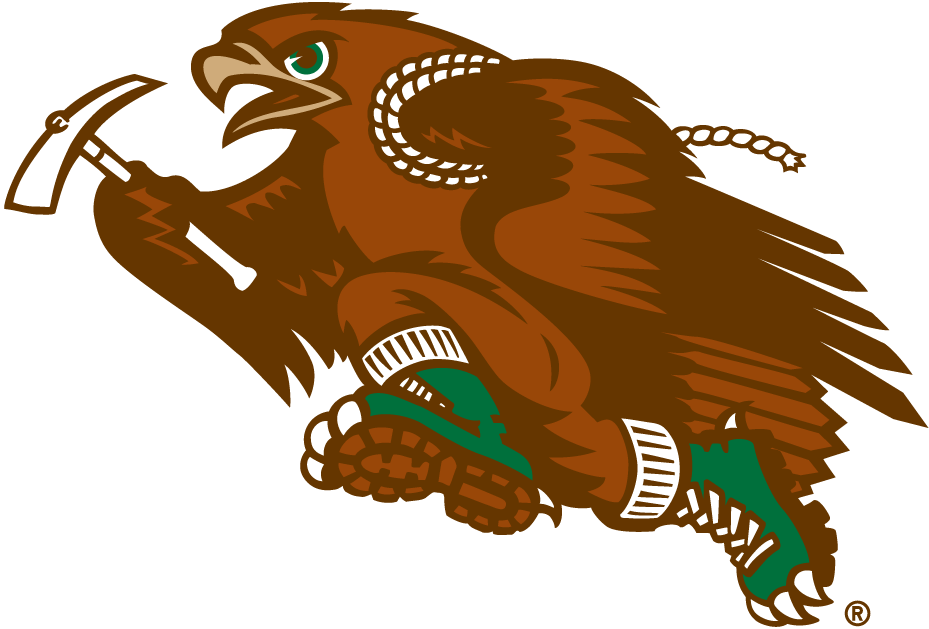 Lehigh Mountain Hawks 1996-Pres Mascot Logo diy iron on heat transfer